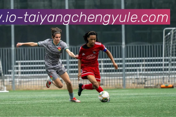 太阳城平台平台生态图